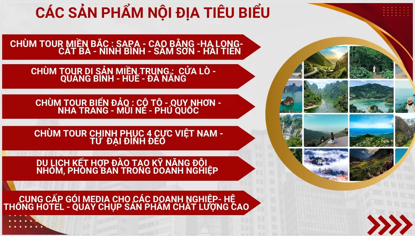 VIETTADI CHÚNG TÔI