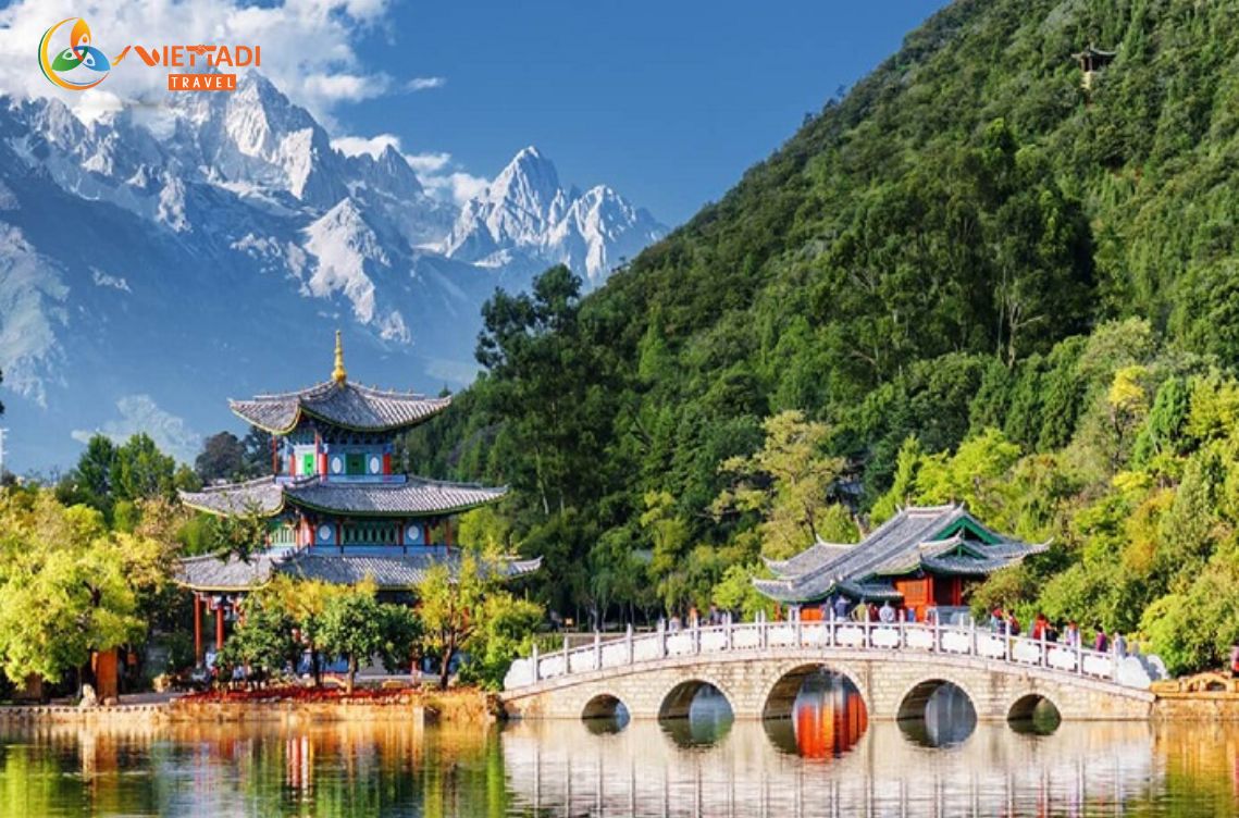 VIETTADI - ĐƠN VỊ ĐƯỢC ĐỀ CỬ SAO VÀNG ĐẤT VIỆT 2025