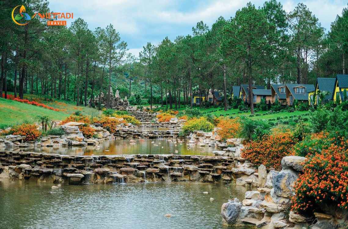 Địa điểm du lịch Mộc Châu với Rừng thông Bản Áng