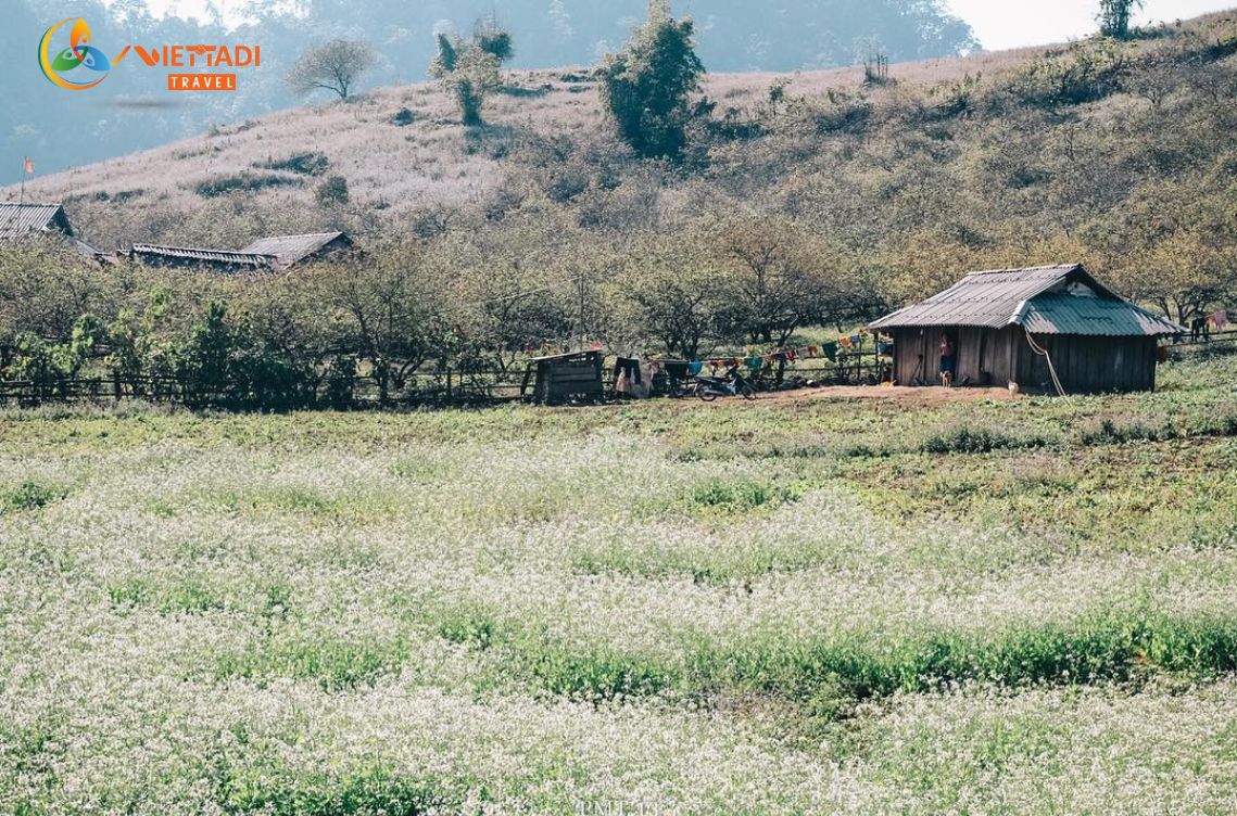 Bản Pa Phách