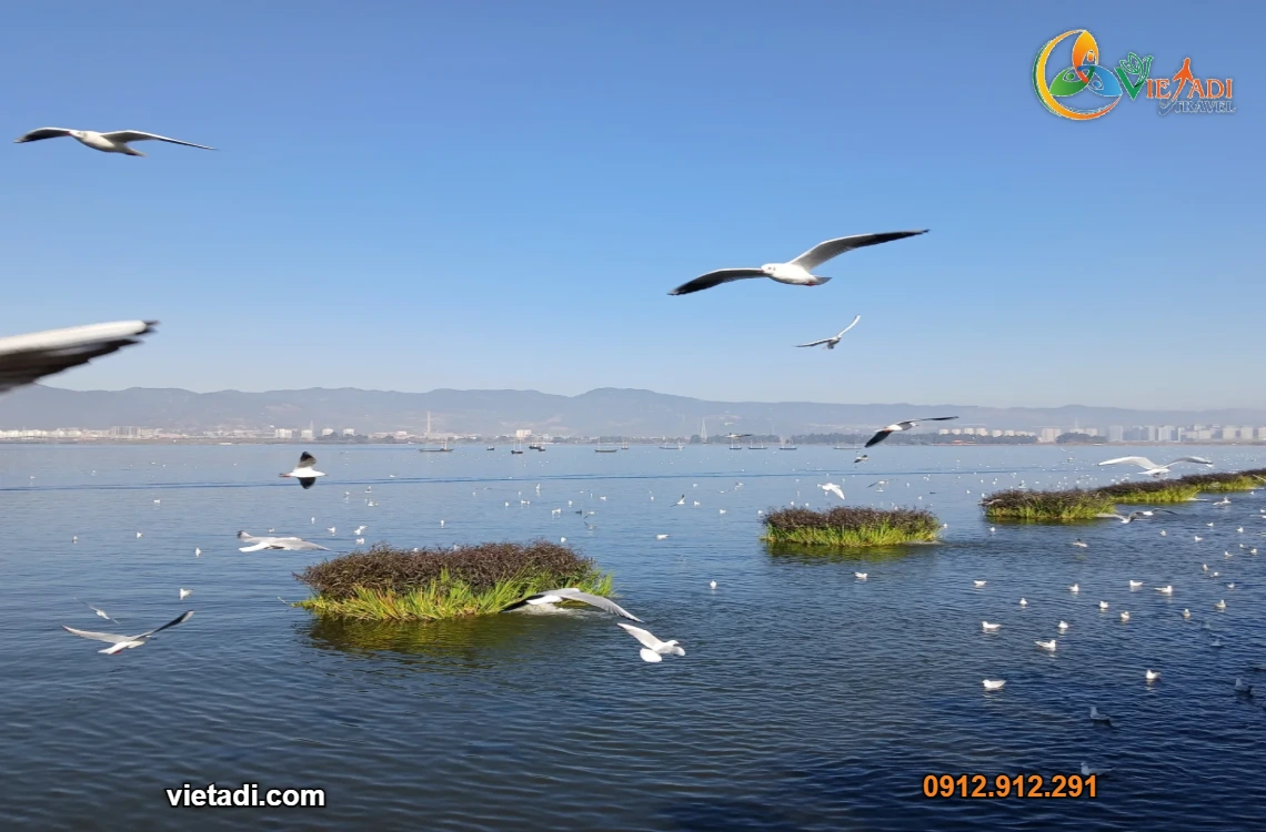Tour Trung Quốc Hà Khẩu - Côn Minh - Đại Lý 5 Ngày 4 Đêm - Đi Tàu Cao Tốc
