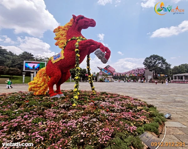 Tour Trung Quốc Côn Minh - Đại Lý 4 Ngày 4 Đêm - Đi Về Nơi Có Gió, Tàu Cao Tốc Hà Khẩu