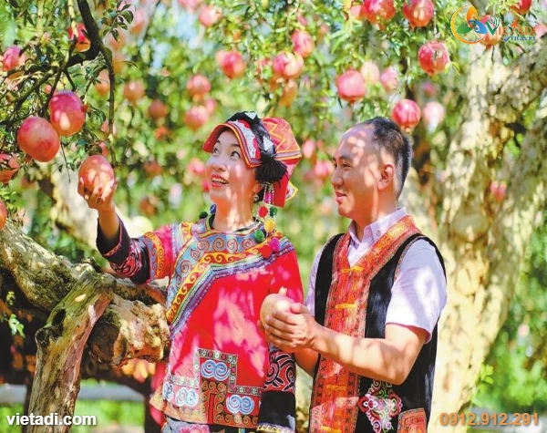 Tour Bình Biên - Di Lặc - Kiến Thủy - Mông Tự 3 Ngày 3 Đêm - Thưởng Thức Bún Qua Cầu