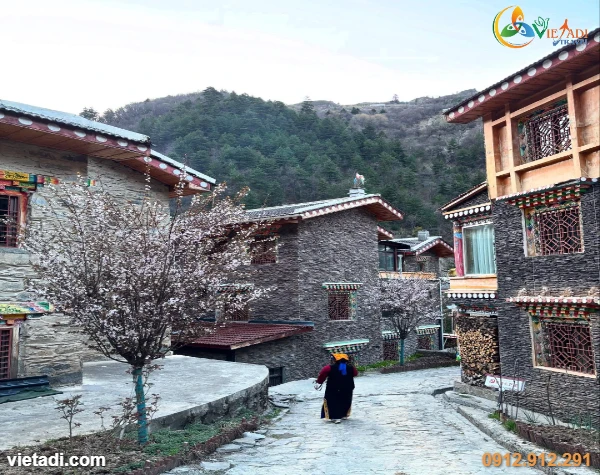 Làng Tạng văn hóa dân tộc Tạng
