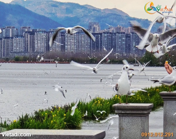 Đập Hải Canh Côn Minh