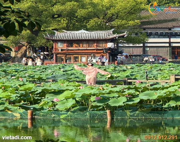 Tour Thượng Hải - Hàng Châu - Ô Trấn 5 Ngày 4 Đêm - Bay Air China No Shopping