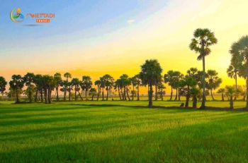 Hà Nội Cần Thơ Miền Tây 4 ngày 3 đêm