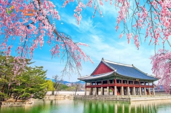 TOUR DU LỊCH HÀN QUỐC 5 NGÀY 4 ĐÊM