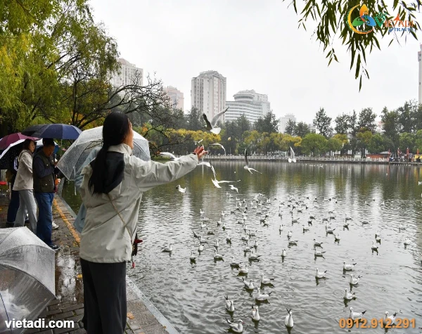 Tour Trung Quốc Đại Lý - Côn Minh 4 Ngày 3 Đêm - Đi Tàu Cao Tốc Từ Hà Khẩu