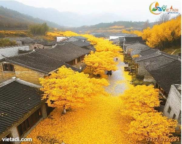 Tour Trung Quốc Hà Khẩu - Côn Minh - Đằng Xung 5 Ngày 4 Đêm - No Shopping - Đi Tàu Cao Tốc