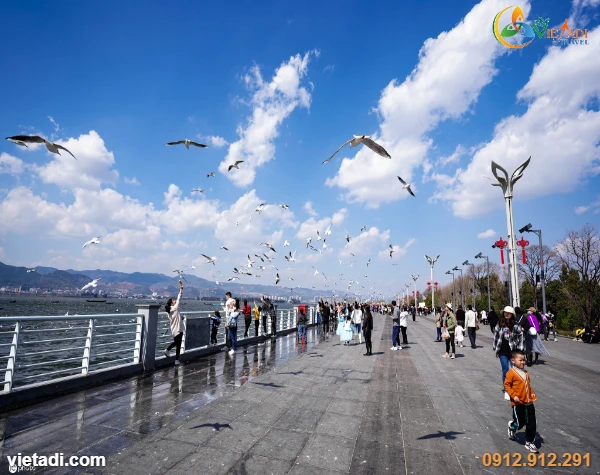 Tour Trung Quốc Côn Minh - Đại Lý - Lệ Giang 5 Ngày 4 Đêm - Bay Ruili Airlines