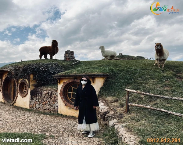 Tour Lệ Giang - Đại Lý - Shangrila 6N5D No Shopping Bay Thẳng Cát Bi